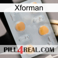 Xforman 24